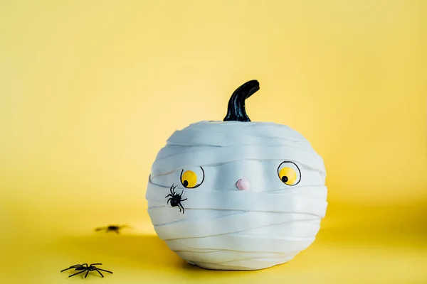 Funny and cute pumpkin mummy with spider on the yellow background. White Pumpkin with scaried and worried look. Fear of insects. Halloween decor and background with copy space. Selective focus.