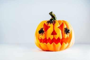 Ürkütücü cadılar bayramı portakal kabağı, beyaz arka planda örümcekleri olan Jack O Lantern ve fotokopi alanı. Cadılar Bayramı dekorun kutlu olsun. Kutlama kartpostalı. Seçici odak.