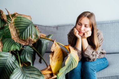 Calathea bitkisinin kurumuş yapraklarını tutan üzgün, genç bir kadın. Ev bitkileri hastalıkları. Hastalıklar, tanımlama ve tedavi bozuklukları, ev bitkilerinin güneş yanıkları. Hasarlı Yapraklar