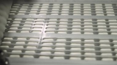 İlaç ve uyuşturucu üretimi, çok sayıda hareket halindeki kapsül, taşıyıcıdaki beyaz tabletler, otomatikleştirilmiş üretim hattı.