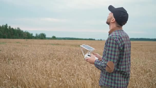 El hombre agricultor controla el quadcopter mientras está parado en el campo del centeno, el ecologista analiza el crecimiento y la maduración del centeno, el campo. — Vídeos de Stock