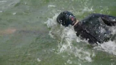 Yavaş çekim, profesyonel yüzücü, dalgıç kıyafetli triatlet açık denizde yüzer, triatlon yarışmasından önce antrenman yapan bir sporcu..