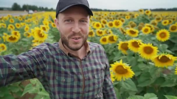 Campo, hombre agricultor camina a través de un campo de girasoles y toma un video de sí mismo, el video blogger cuenta sobre la cosecha de girasol en video para la red social, agricultor toma una selfie. — Vídeos de Stock