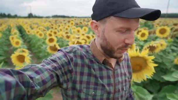 Hombre granjero camina a través de un campo de girasoles y toma un video de sí mismo, el video blogger cuenta sobre la cosecha de girasol en video para la red social, granjero toma una selfie. — Vídeo de stock