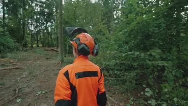 Вид сзади, женщина лесоруб в лесу, молодая женщина-специалист в защитном снаряжении прогуливается по лесопилке, работает над обезлесением, 4k замедленной съемки. — стоковое видео