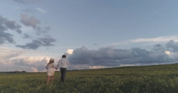 Achteraanzicht, jong koppel ontspannen in de natuur, een man en een vrouw rennen door een veld van koolzaad hand in hand, uitzicht vanaf de hoogte. — Stockvideo