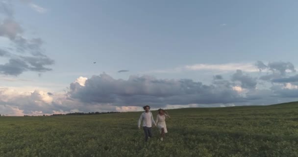 Platteland, een paar vrolijke mensen ontspannen in de natuur, een man en een vrouw rennen door een veld van koolzaad hand in hand, uitzicht vanaf de hoogte. — Stockvideo