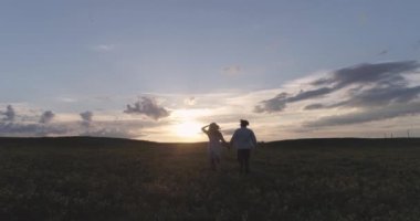 Bir çift neşeli insan doğada dinlenirken, bir erkek ve bir kadın kolza tohumu tarlasında koşuyorlar el ele tutuşuyorlar, gün batımı, yükseklikten manzara.