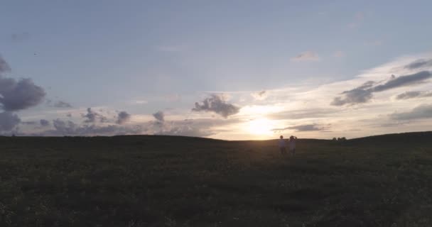 Campagna, coppia di persone allegre che si rilassano nella natura, un uomo e una donna stanno correndo attraverso un campo di colza che si tiene per mano, tramonto, vista dall'alto. — Video Stock