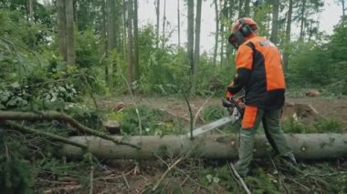 Ormanda kadın oduncu, koruyucu giysi uzmanı genç bir kadın elektrikli testereyle ağaç dalları kesiyor, ormanların tahrip edilmesi üzerinde çalışıyor..