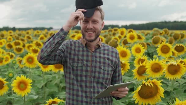 Farmer stoi na polu słoneczników i zakłada czapkę, bada rośliny, ekolog trzyma tabliczkę w rękach i patrzy w kamerę, 4k zwolniony ruch. — Wideo stockowe