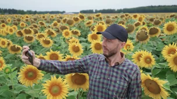 Platteland, man boer staat in een veld van zonnebloemen en neemt selfie foto 's op een smartphone, het onderzoeken van planten, 4k slow motion. — Stockvideo
