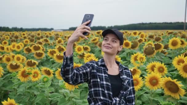 Platteland, vrouwelijke boer staat in een veld van zonnebloemen en neemt selfie foto 's op een smartphone, het onderzoeken van planten, 4k slow motion. — Stockvideo