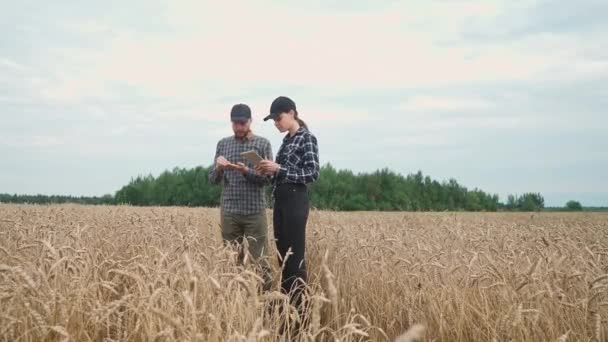 农民站在黑麦地里 环保主义者调查庄稼生长情况 4K慢动作 — 图库视频影像