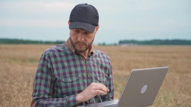 农民站在黑麦地里 在笔记本电脑上工作 研究植物 生态学家分析作物的生长和成熟 — 图库视频影像