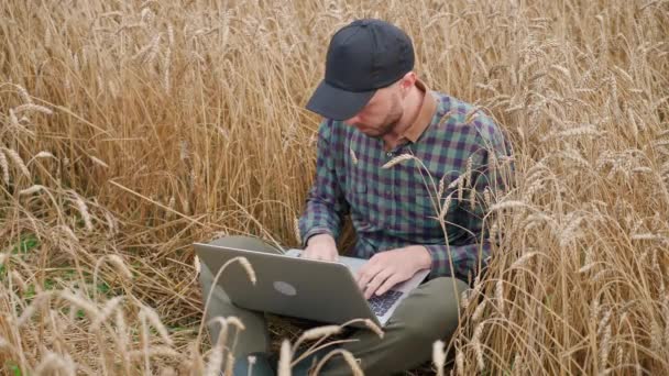 生态学家坐在田野里 在笔记本电脑前工作 在遥远的工作中自我隔离 一边在黑麦地里发短信 一边上网 — 图库视频影像