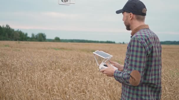 Jordbruksindustri Manlig Bonde Kontrollera Quadcopter Stående Inom Området Råg Ekolog — Stockvideo