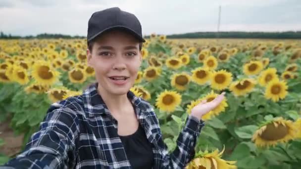 Wieś Kobieta Rolnik Przechodzi Przez Pole Słoneczników Robi Film Sobie — Wideo stockowe