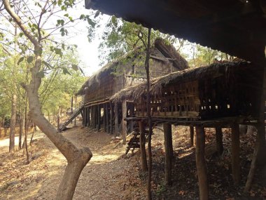 Hindistan 'ın kırsal köyündeki kulübeler.