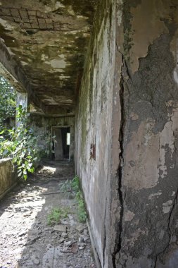 Mumbai, Hindistan 'da terk edilmiş bir bina. 