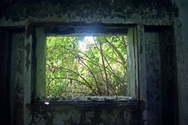 Mumbai, Hindistan 'da terk edilmiş bir bina. 