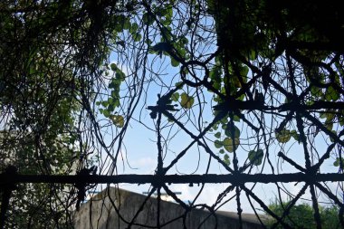 Eski terk edilmiş binada paslı demir ızgara.