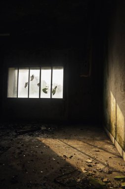 Mumbai, Hindistan 'da terk edilmiş bir bina. 