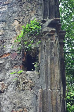 Vasai Kalesi harabesi, Maharashtra, Hindistan 