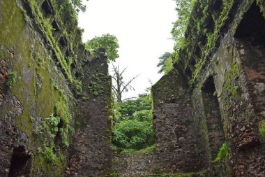 ruin of vasai fort, maharashtra, india 