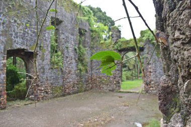 ruin of vasai fort, maharashtra, india 