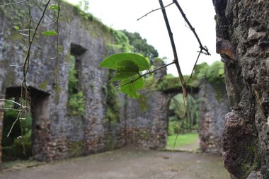 Vasai Kalesi harabesi, Maharashtra, Hindistan 