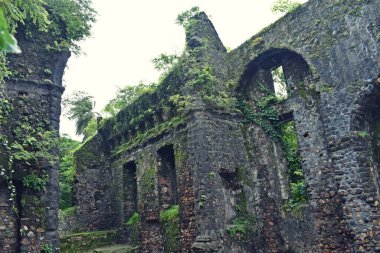 ruin of vasai fort, maharashtra, india 