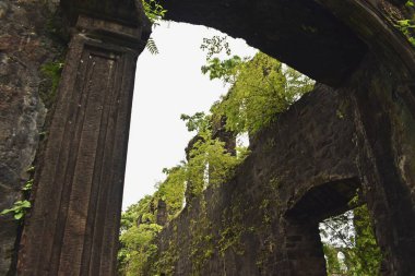 Vasai Kalesi harabesi, Maharashtra, Hindistan 