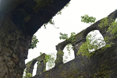 Vasai Kalesi harabesi, Maharashtra, Hindistan 