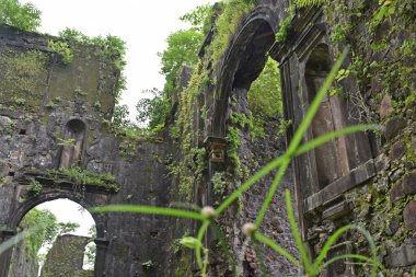 ruin of vasai fort, maharashtra, india 