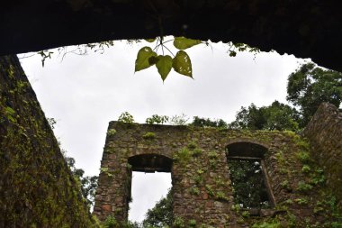 Vasai Kalesi harabesi, Maharashtra, Hindistan 