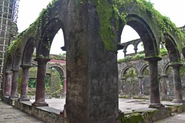ruin of vasai fort, maharashtra, india 