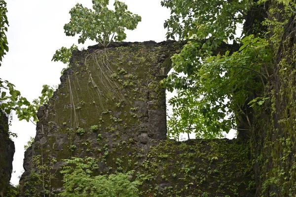 Ruin Vasai Fort Maharashtra India — Fotografia de Stock