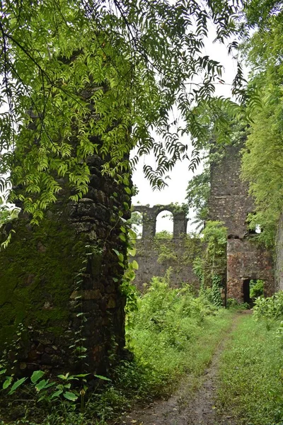 Vasai Kalesi harabesi, Maharashtra, Hindistan 