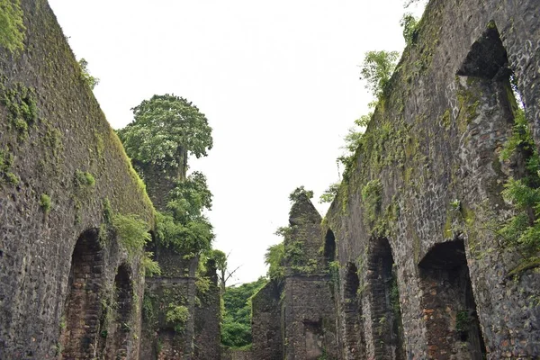 Vasai Kalesi harabesi, Maharashtra, Hindistan 