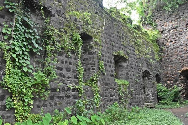 Vasai Kalesi harabesi, Maharashtra, Hindistan 