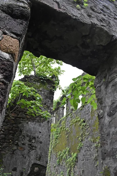 Vasai Kalesi harabesi, Maharashtra, Hindistan 