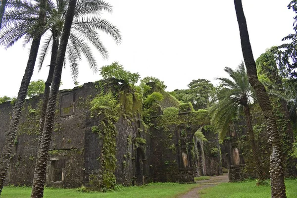 Vasai Kalesi harabesi, Maharashtra, Hindistan 