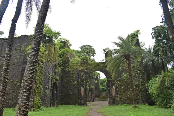 Vasai Kalesi harabesi, Maharashtra, Hindistan 