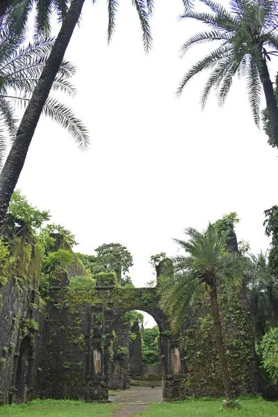 Vasai Kalesi harabesi, Maharashtra, Hindistan 
