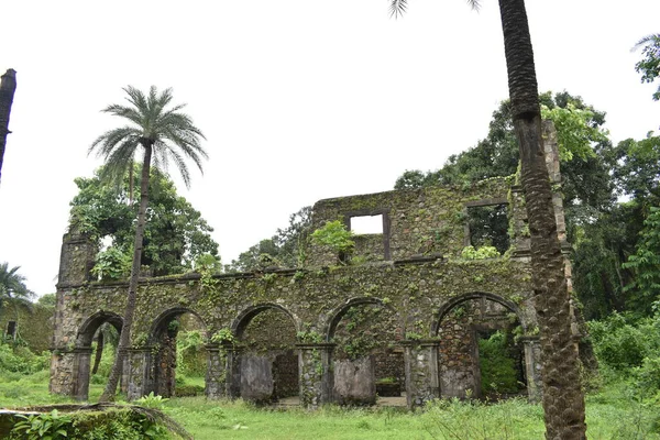 Vasai Kalesi harabesi, Maharashtra, Hindistan 
