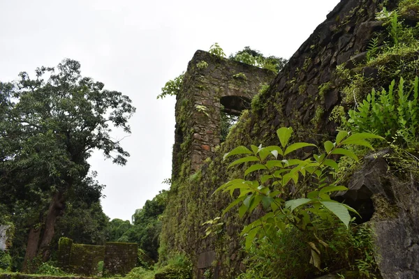 Vasai Kalesi harabesi, Maharashtra, Hindistan 