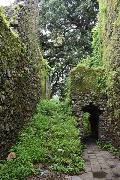 Vasai Kalesi harabesi, Maharashtra, Hindistan 