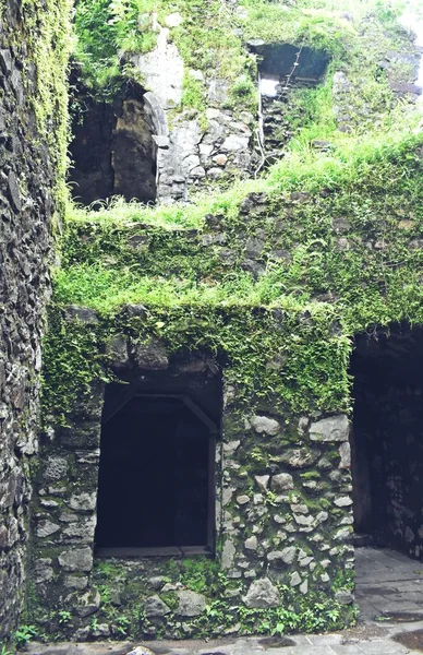 Vasai Kalesi harabesi, Maharashtra, Hindistan 