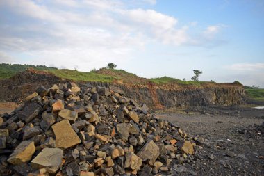beautiful landscape view middle in the forest